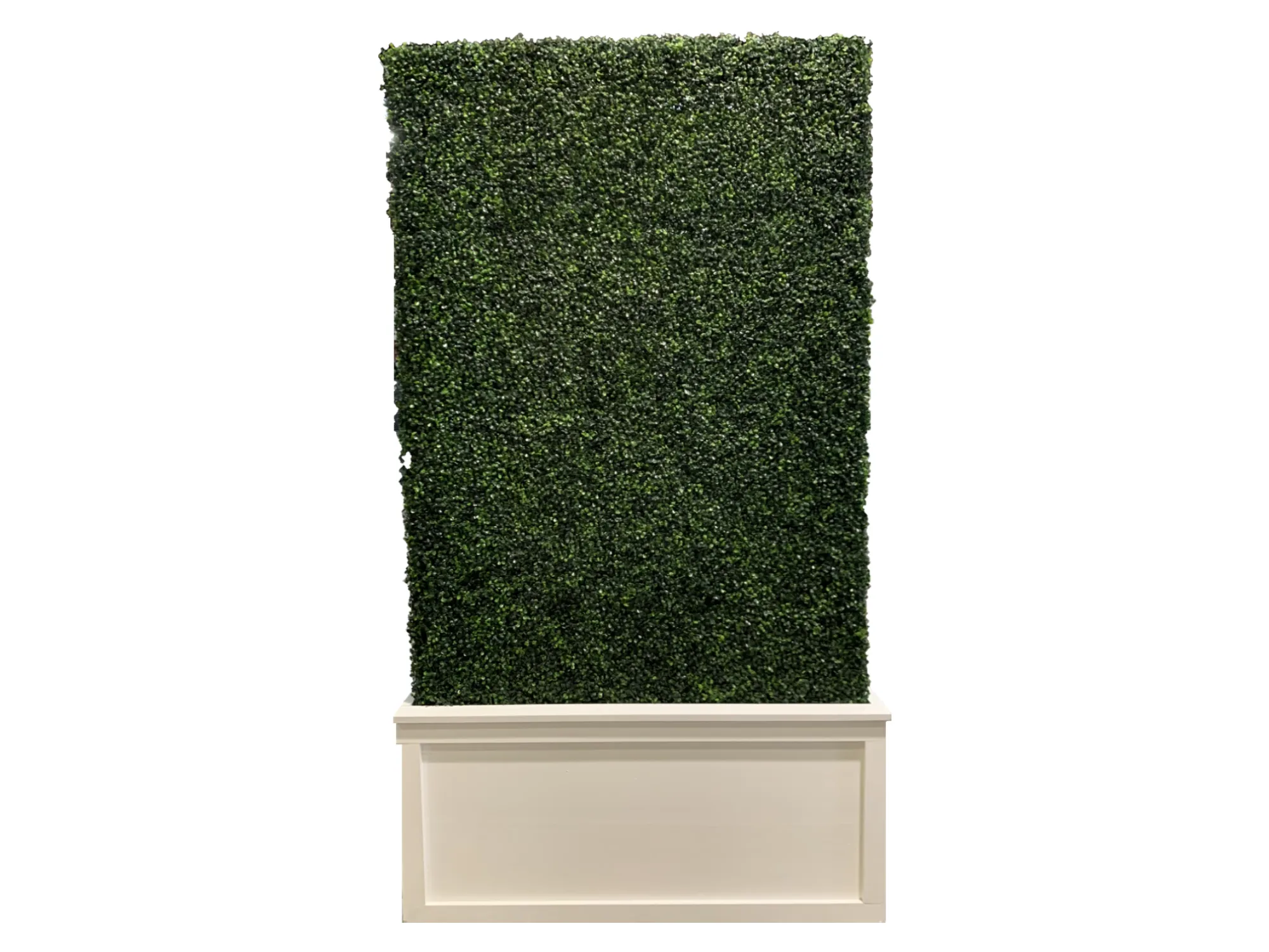 BOXWOOD HEDGE WALL | 4' X 8'