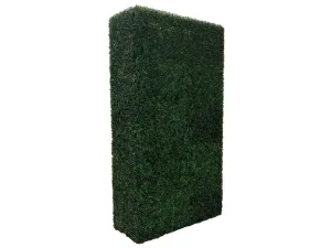 BOXWOOD HEDGE WALL | 4' X 8'