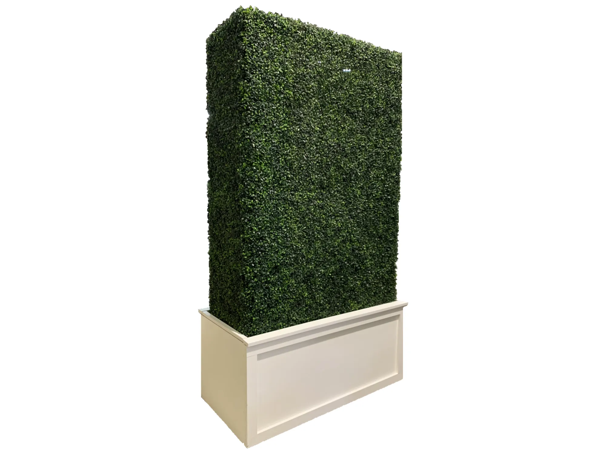 BOXWOOD HEDGE WALL | 4' X 8'