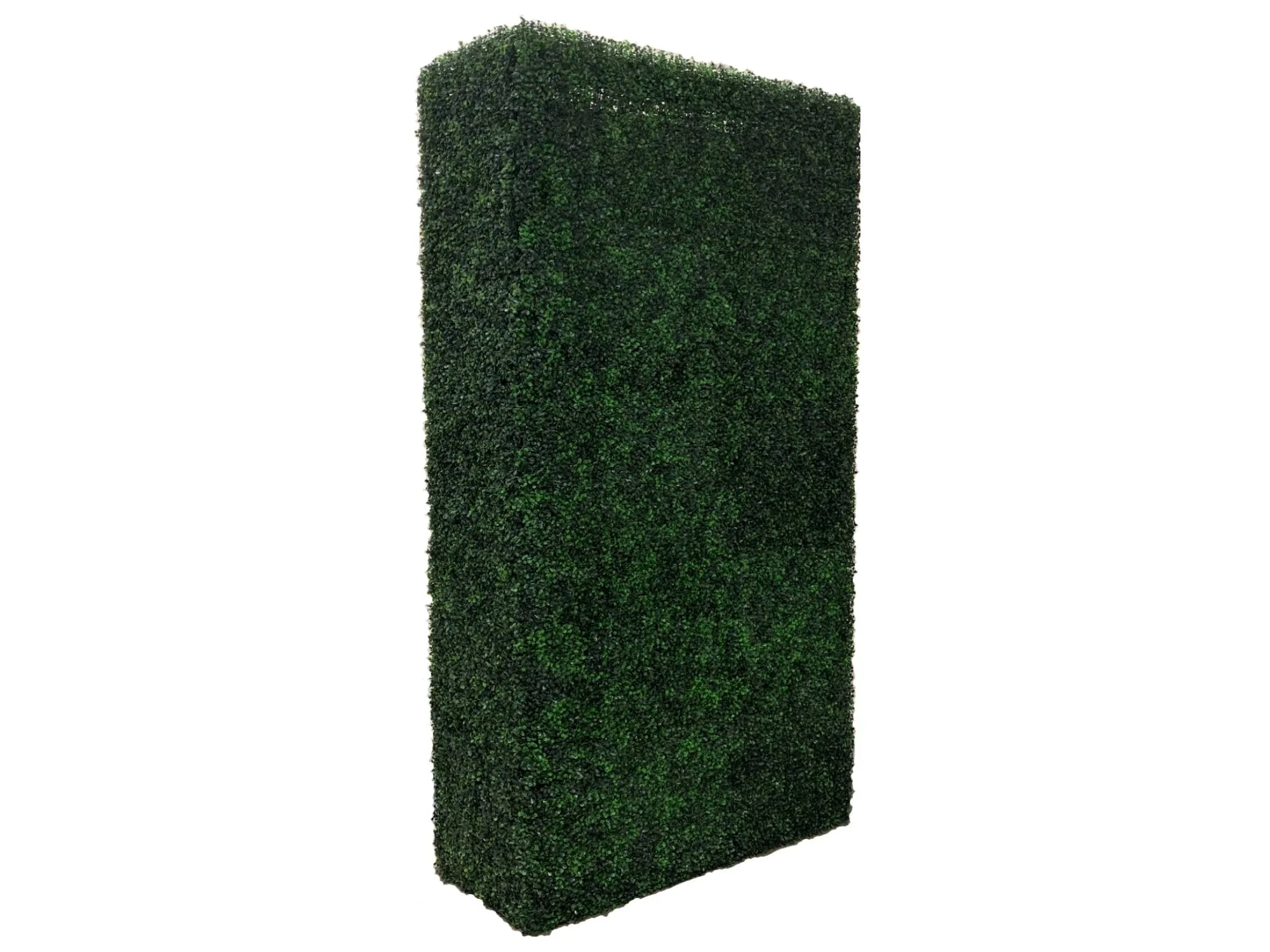 BOXWOOD HEDGE WALL | 4' X 8'