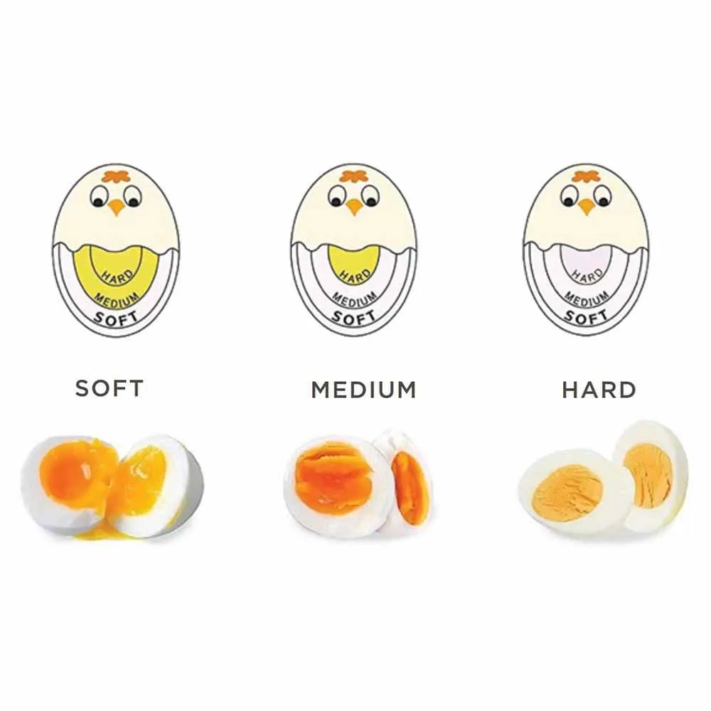 Creative Cooking Egg Timer CC-120
