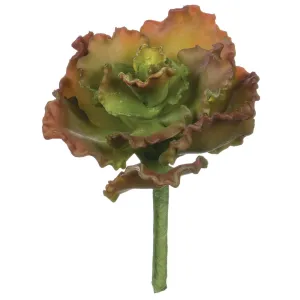 Curly Echeveria Pick