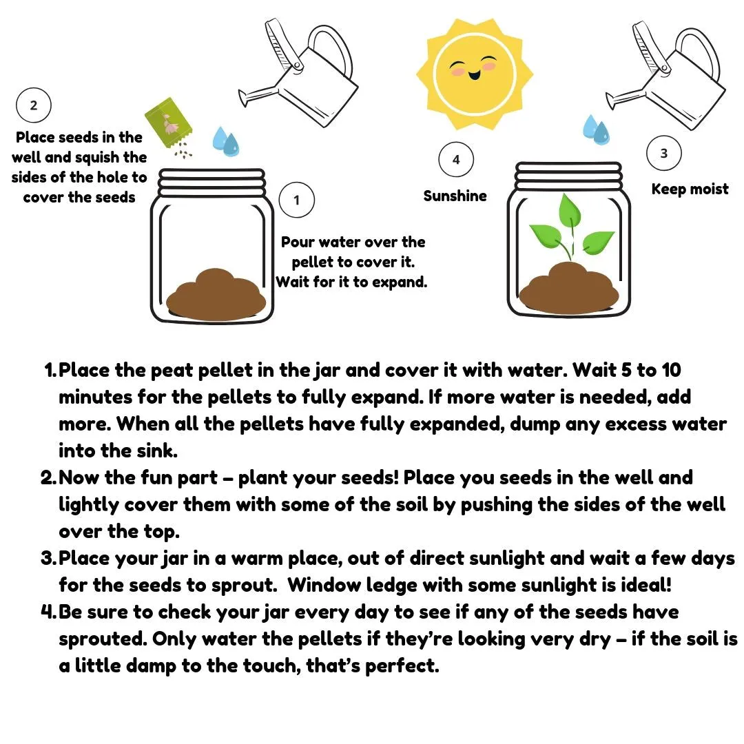 Diy Grass Head Jar Planting Kit