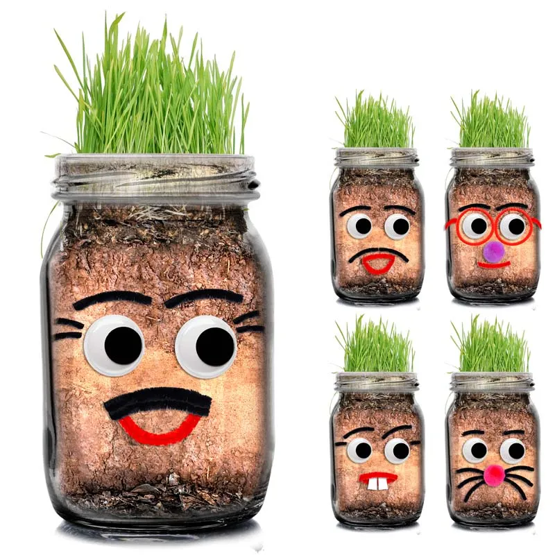 Diy Grass Head Jar Planting Kit