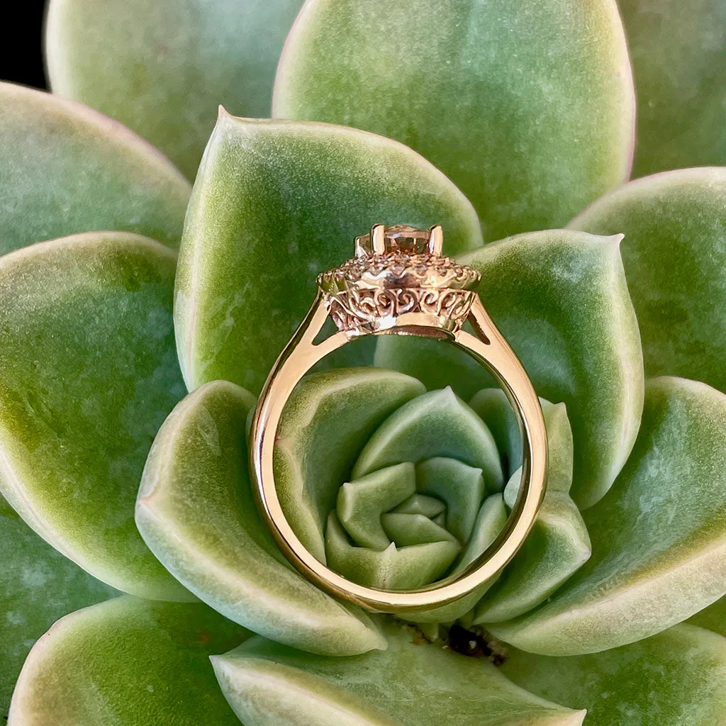 Glamorous Oval Morganite and Double Diamond Halo Rose Gold Ring