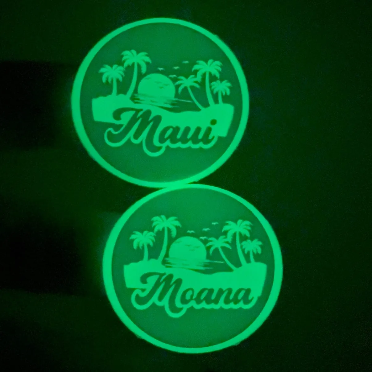 Glow In The Dark Slide-On Pet ID Tag | Custom Design