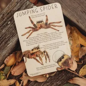Jumping Spider Fun Facts Timber Tile   Color In Postcard