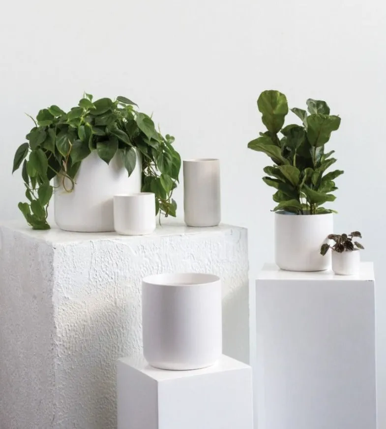 KENDALL WHITE POT