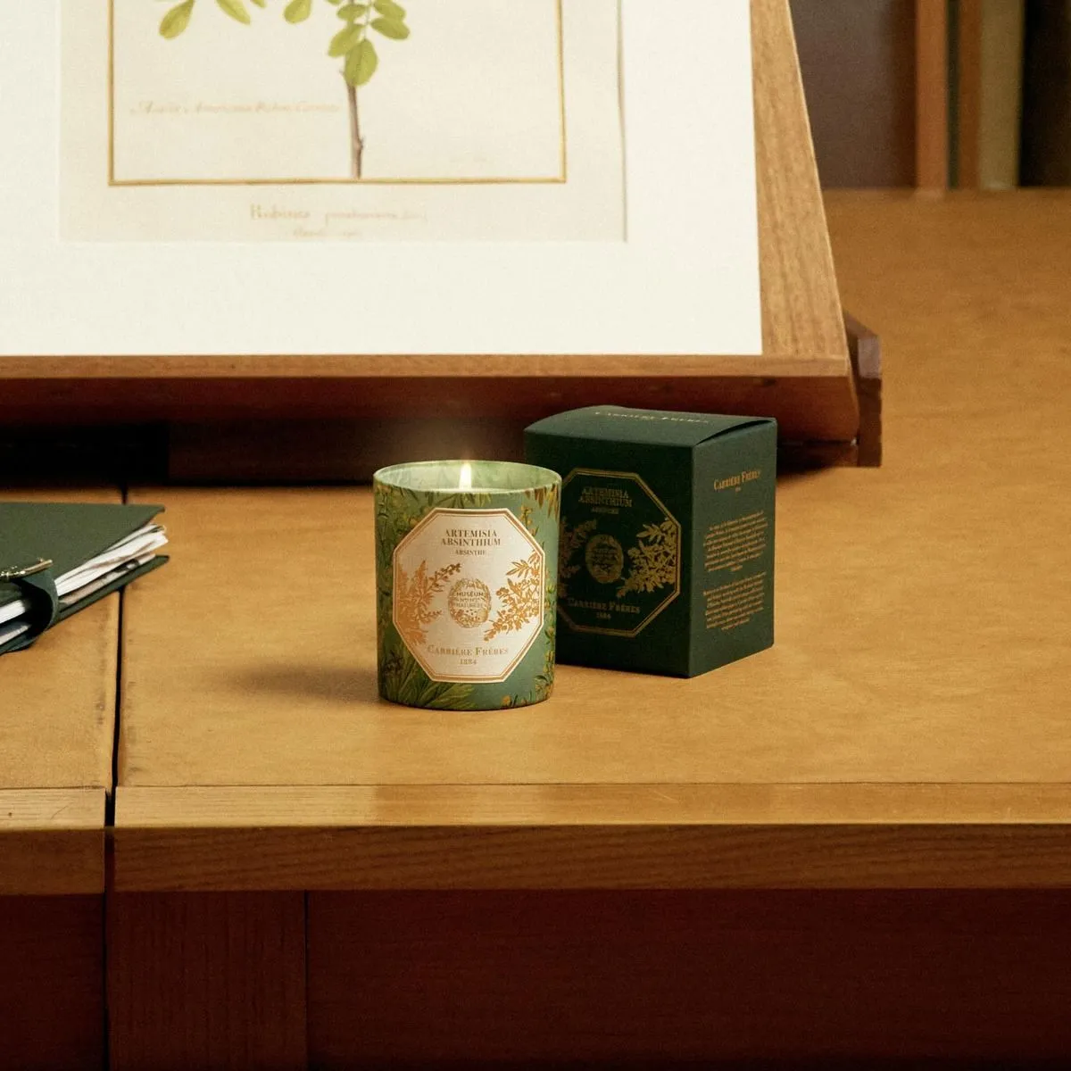 Museum Edition Scented Candle in Absinthe