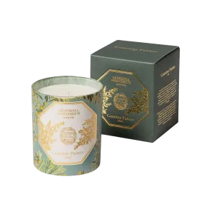 Museum Edition Scented Candle in Absinthe