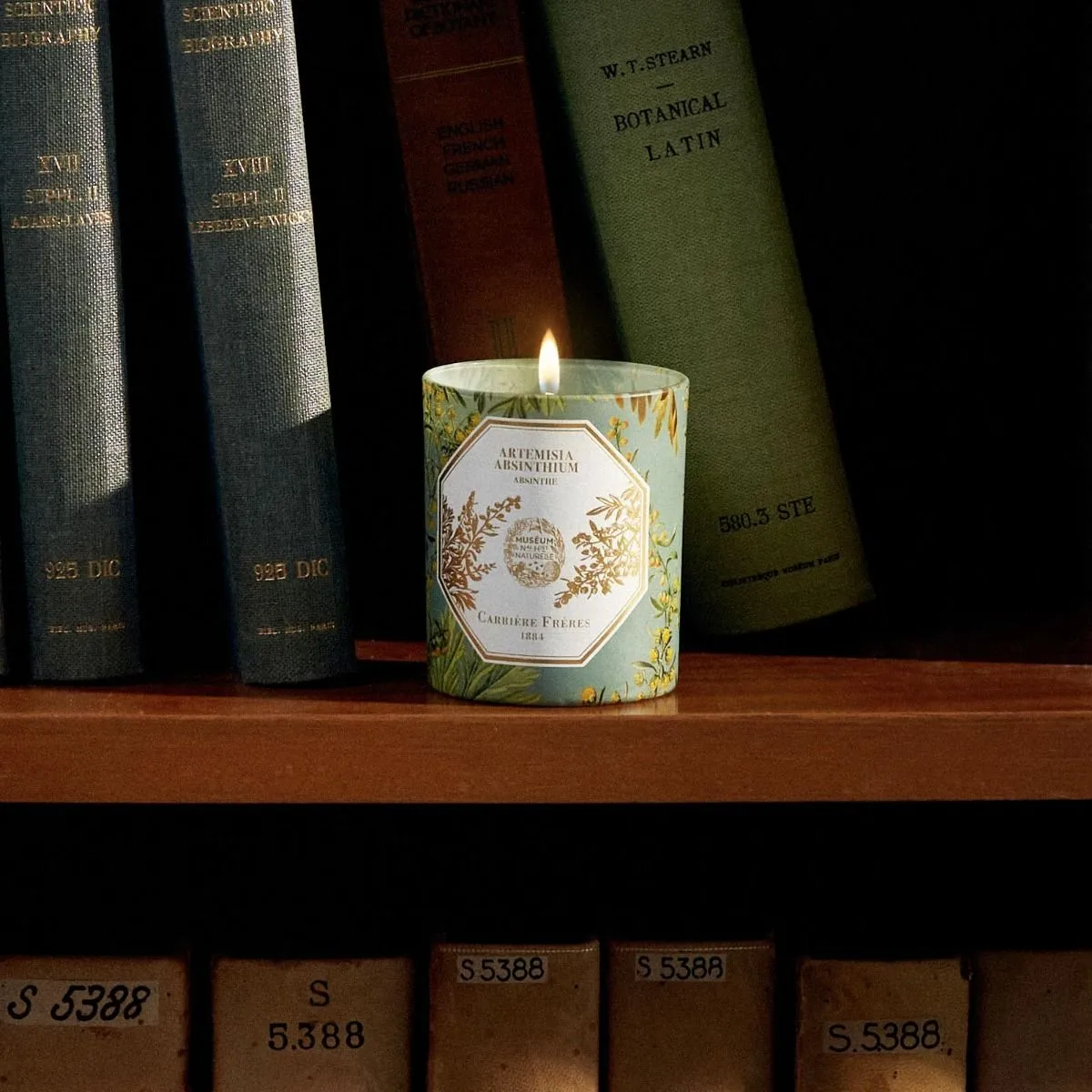 Museum Edition Scented Candle in Absinthe