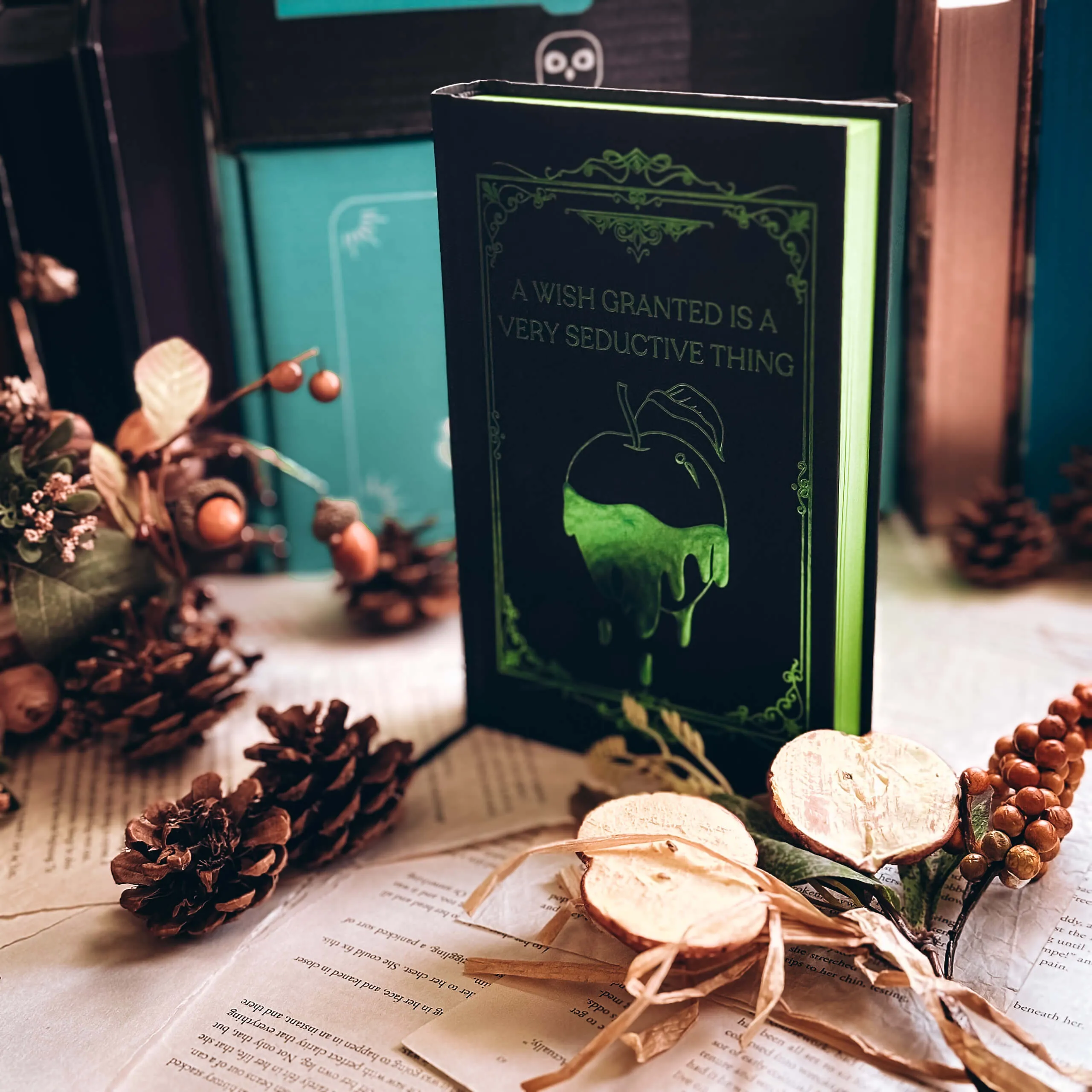 OwlCrate 'DARK REFLECTIONS' Box