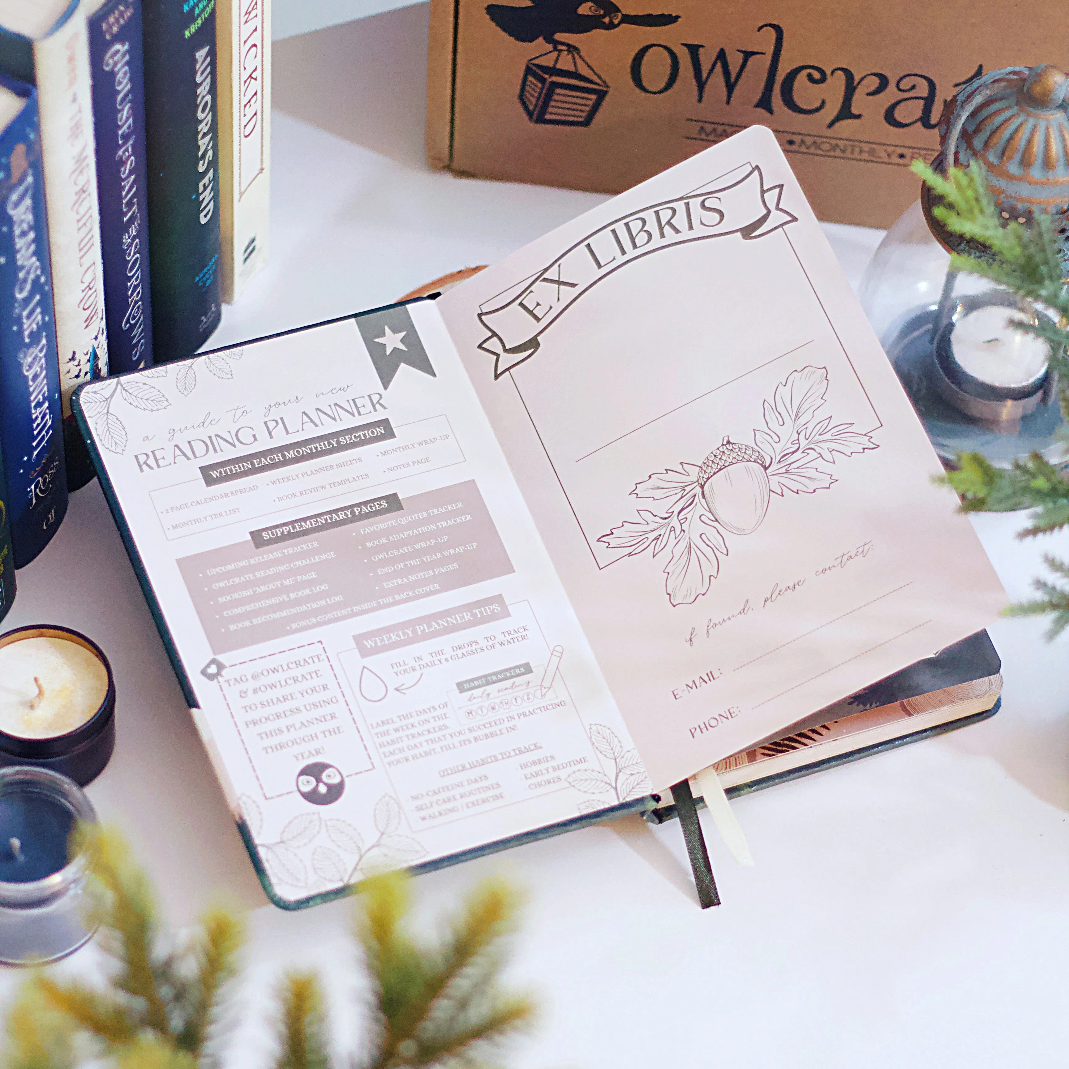 OwlCrate 'THE DARK HEART OF THE FOREST' Box