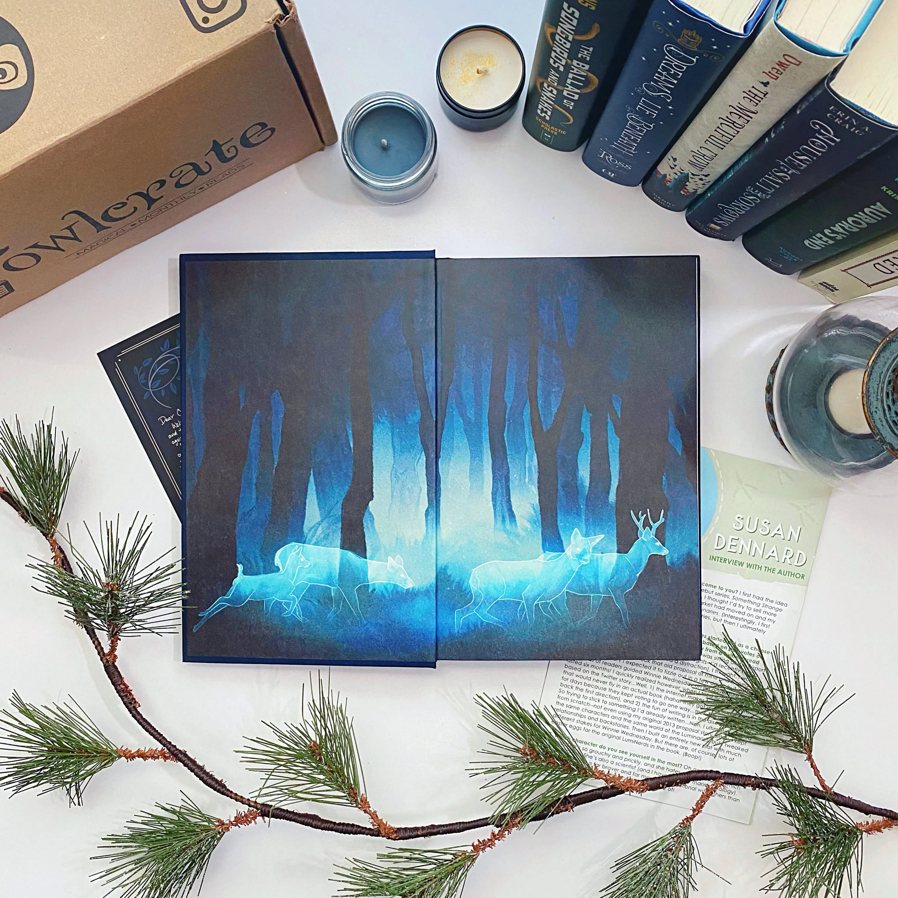 OwlCrate 'THE DARK HEART OF THE FOREST' Box