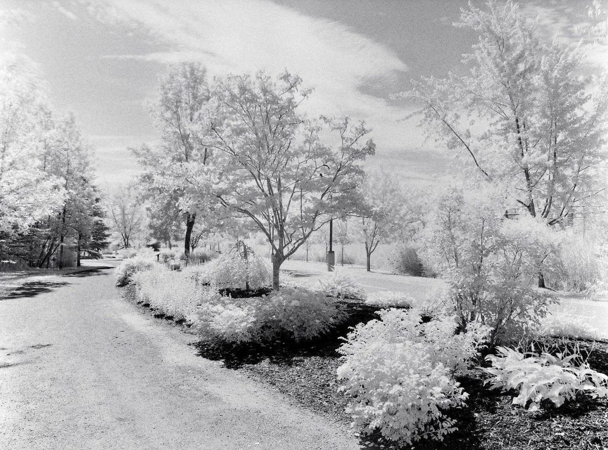 Rollei Infrared - 120 Film