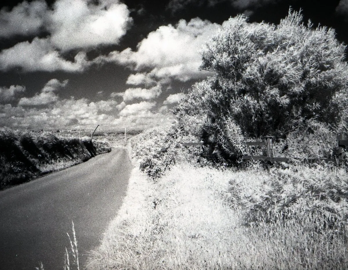 Rollei Infrared - 35mm Film