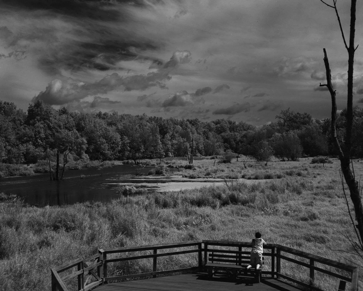 Rollei Infrared - 4x5 Sheet Film