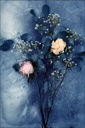 Roses No. 7