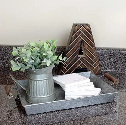 Rustic Metal Trays (Set of 2, Small & Medium)