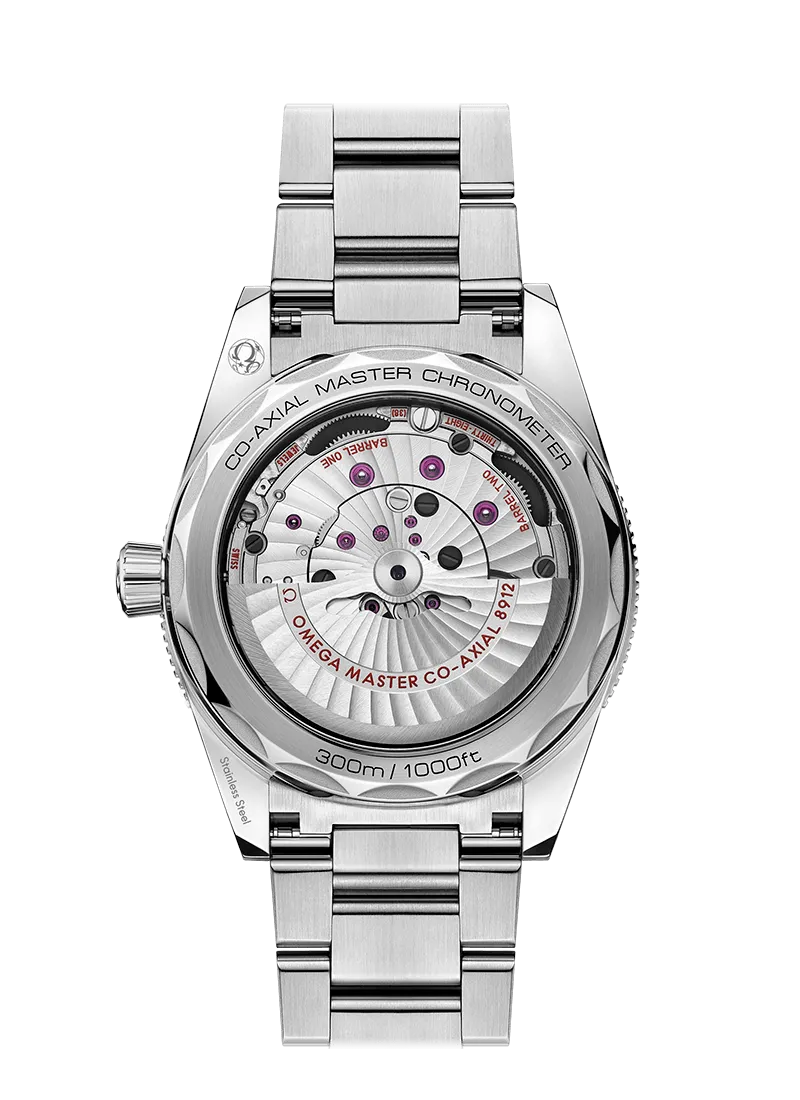 Seamaster 300 Co-Axial Master Chronometer 41 mm