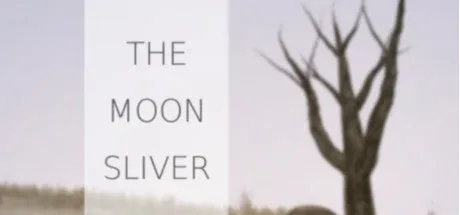 The Moon Sliver (PC)
