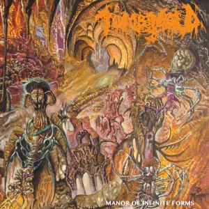 Tomb Mold (colored vinyl) "Manor Of Infinite Forms" LP