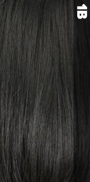 VANESSA T35HB FRONTAL LACE BRAZILIAN HUMAN HAIR BLEND WIG  BRODIE